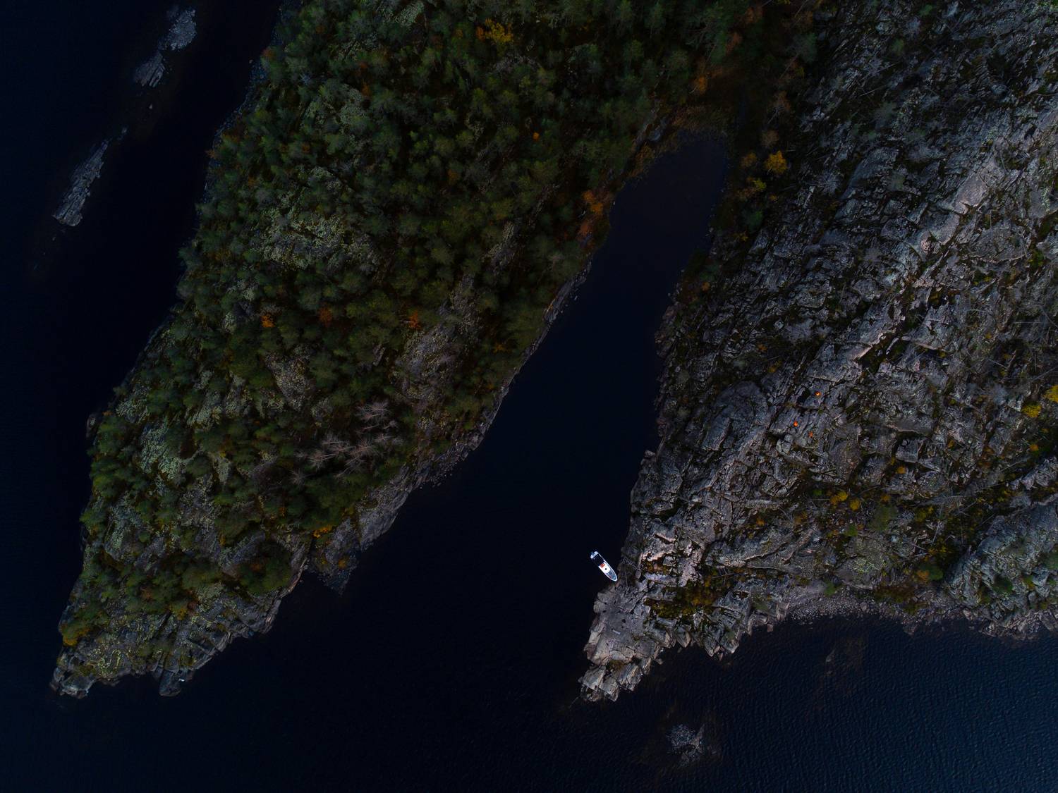 Фотография #13335775