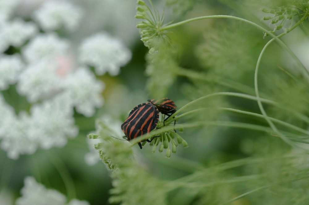 Фотография автора Nobu-Oh