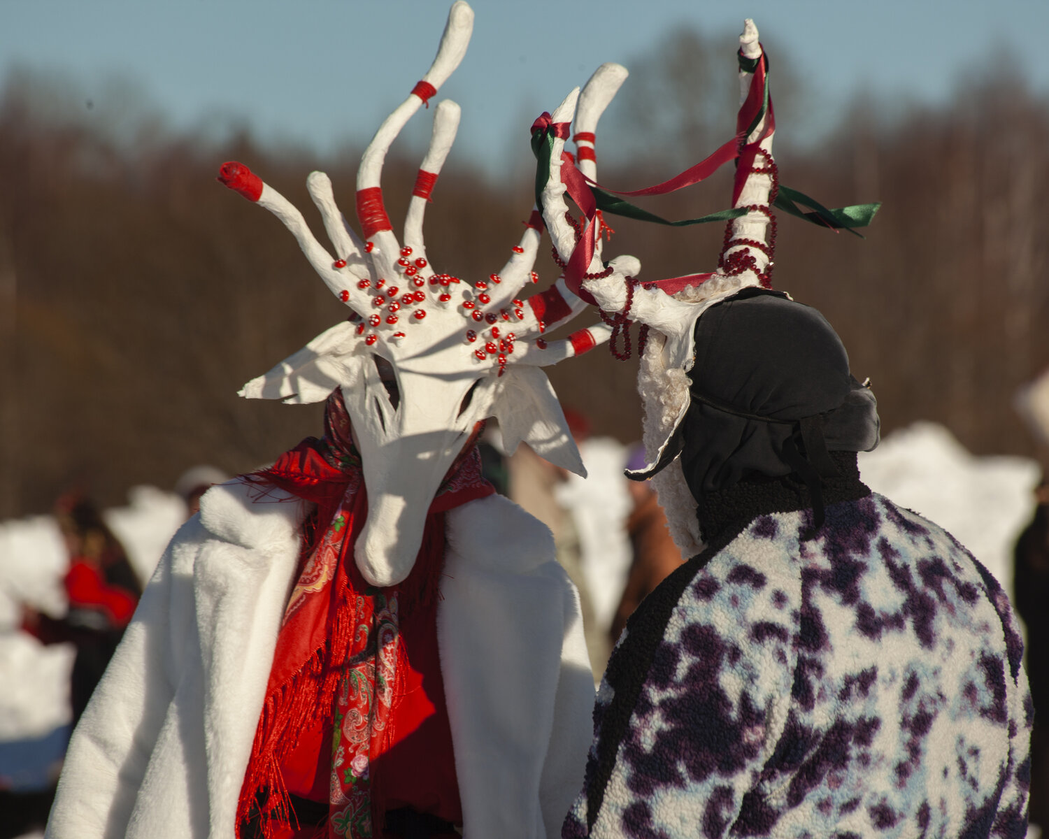 Photo #13335813