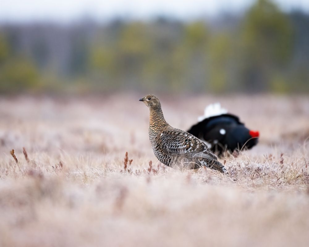 Photograph by Александра