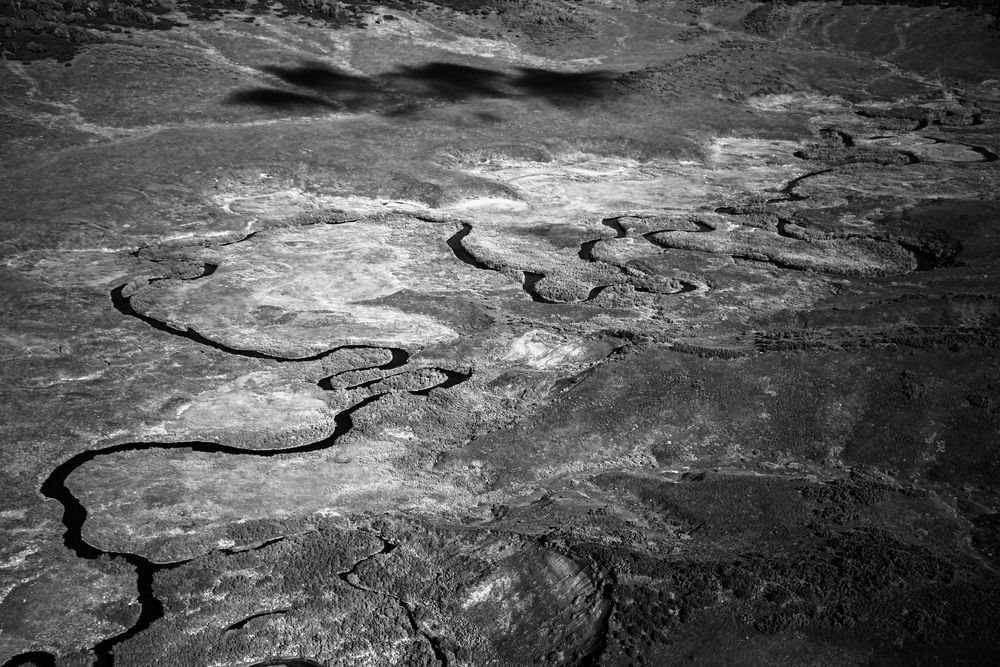 Фотография автора Volha Mamajanava