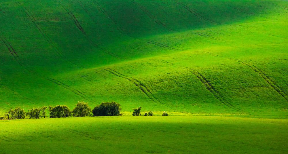 Фотография автора Krisztián Zámbó