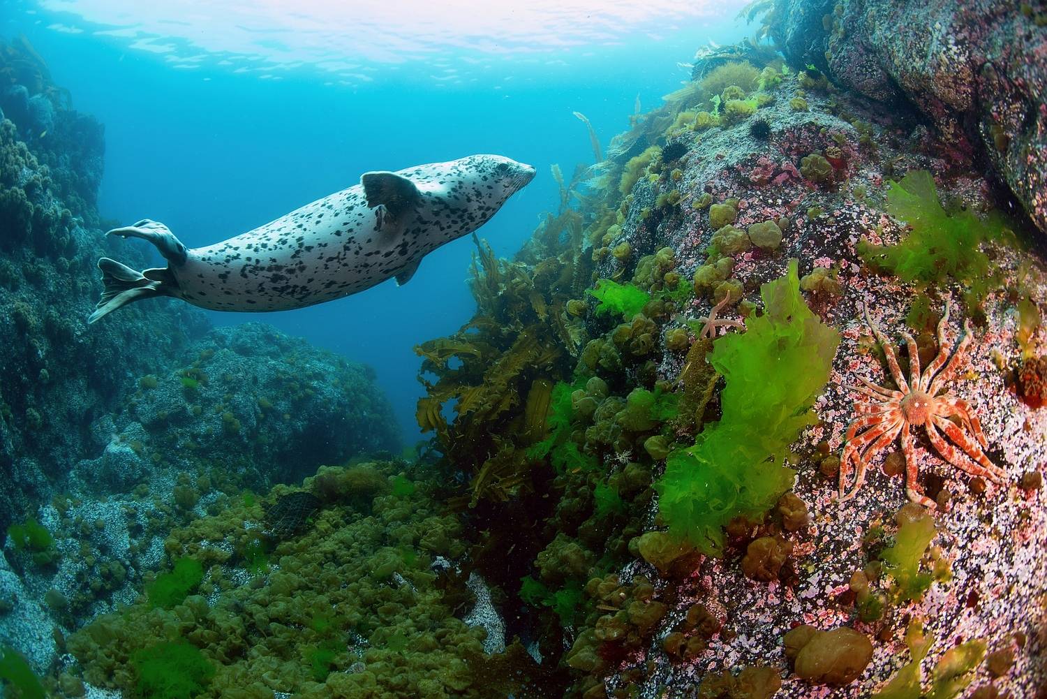 Фотография #13336062