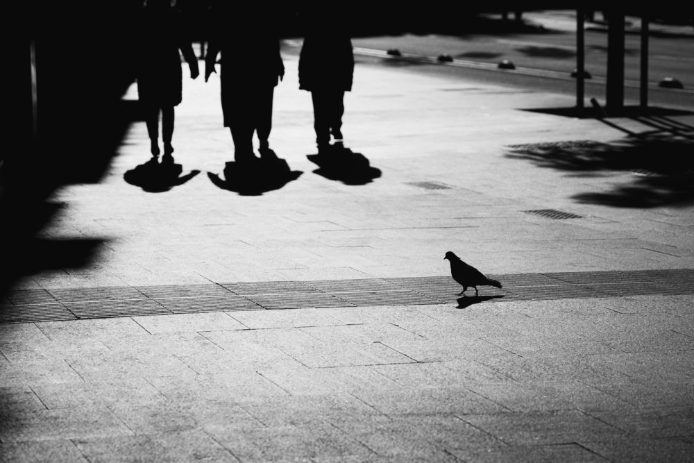Photograph by Stanislav Rodionov