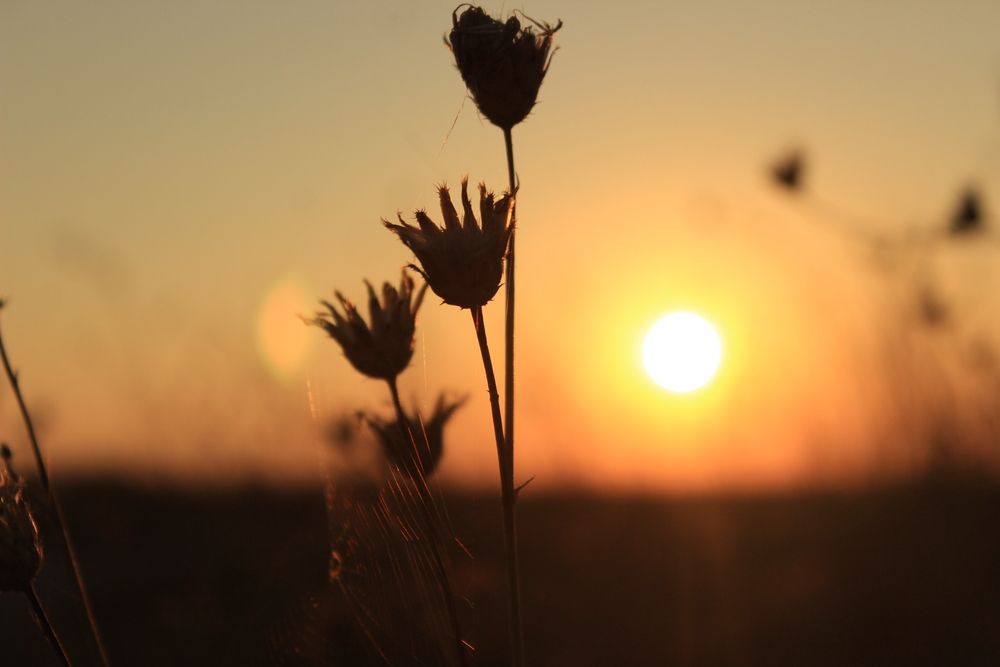 Photograph by Екатерина Александровна
