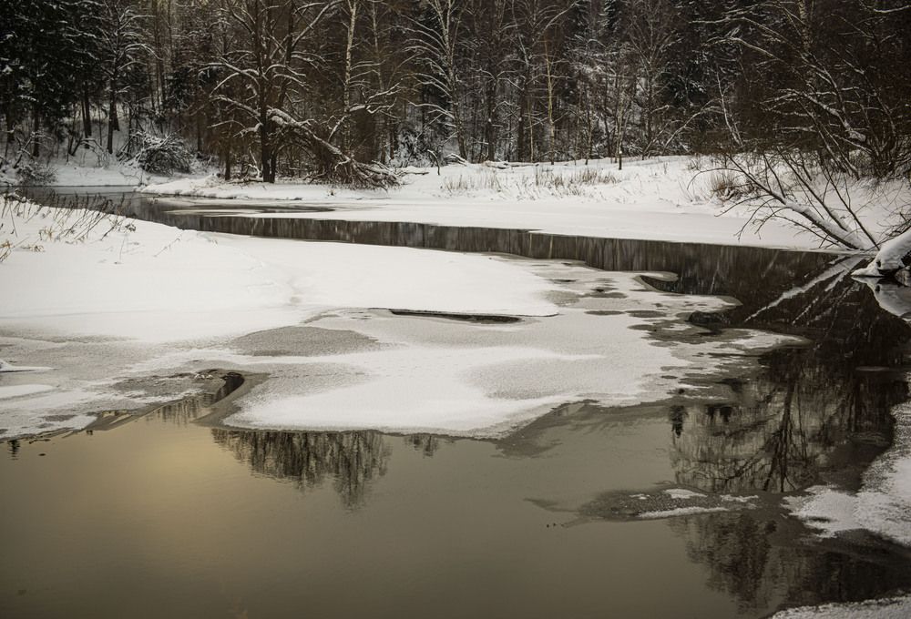 Photograph by Николай Галкин