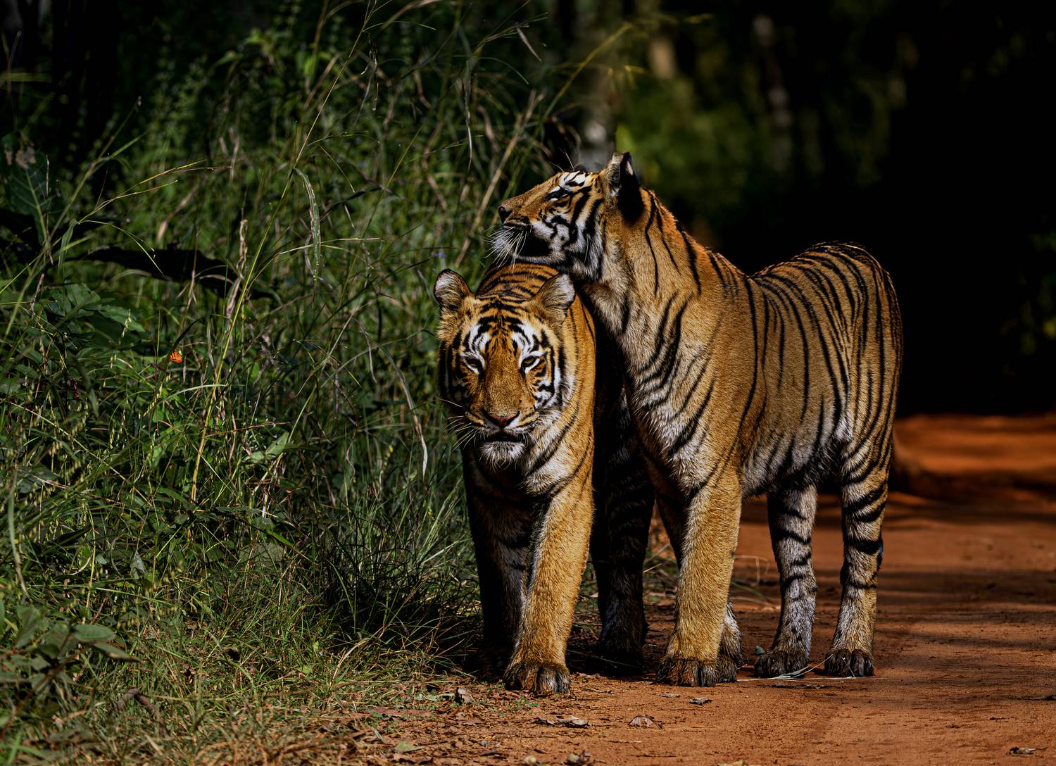 Mom Daughter bonding Mom Daughter bonding