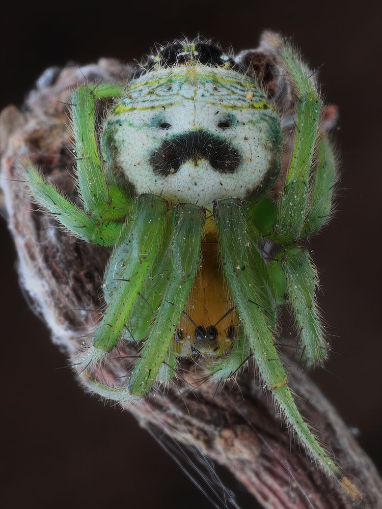 Photograph by Li Chen-You