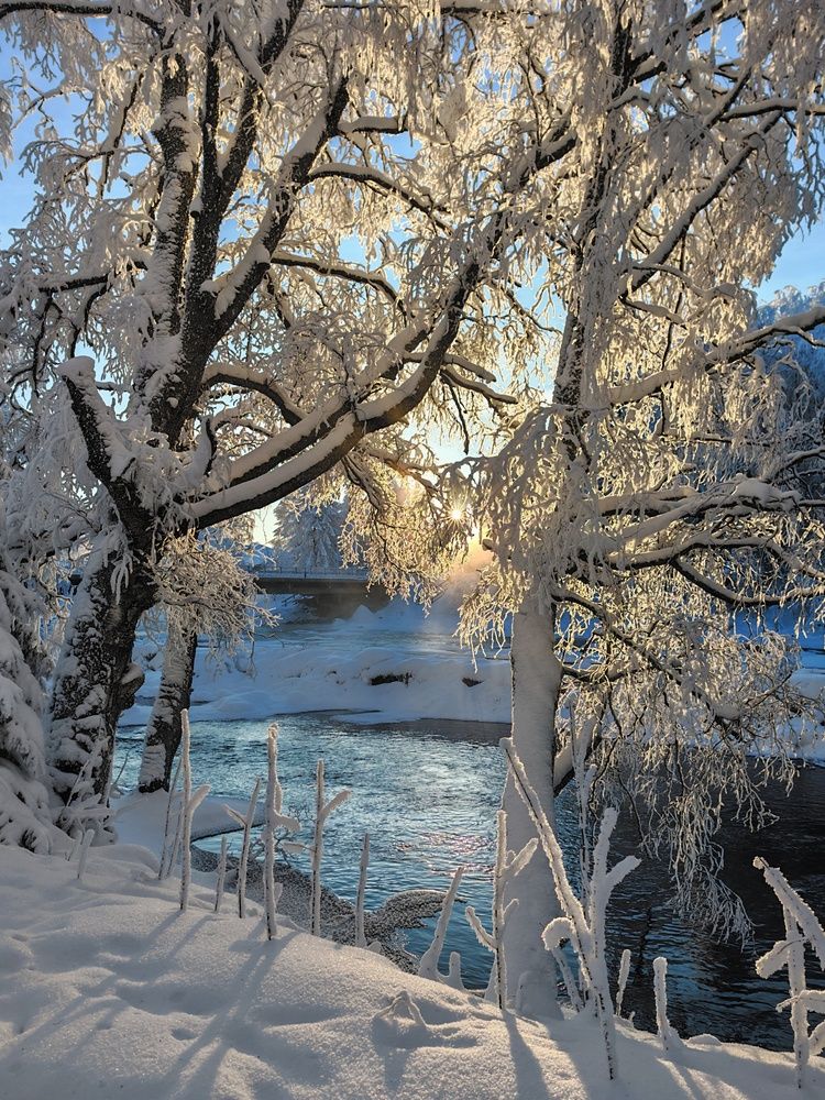 Photograph by OLga Piirainen