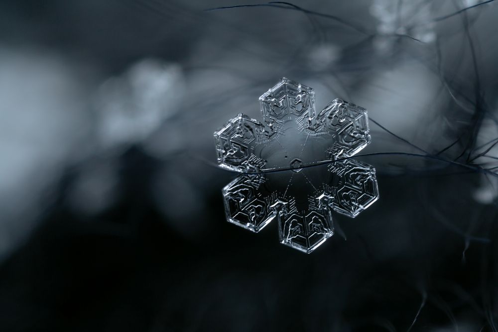 Шесть граней тишины