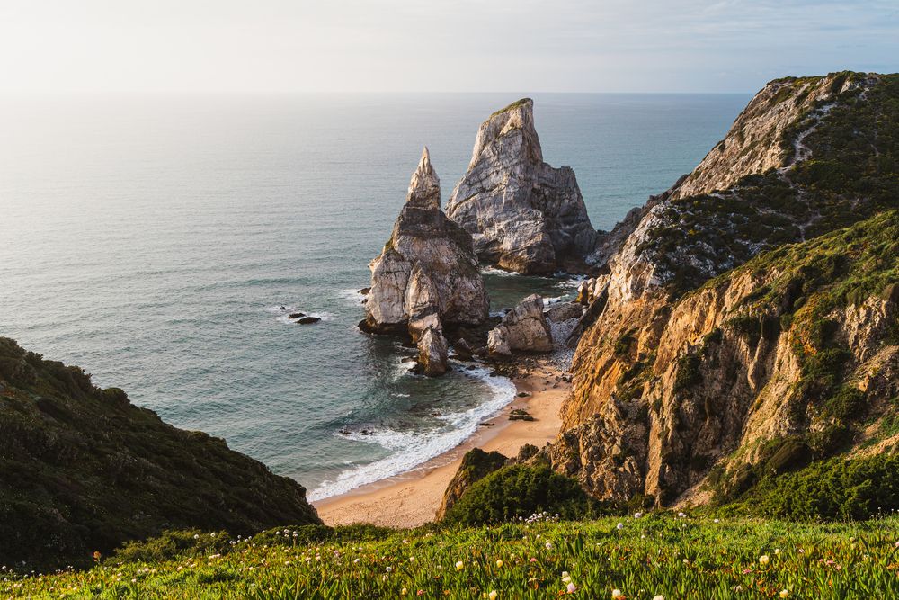 Photograph by Stanislav Rodionov