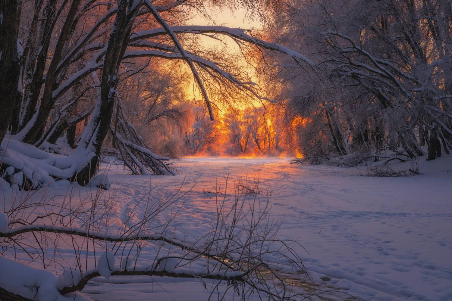 Фотография #13336427