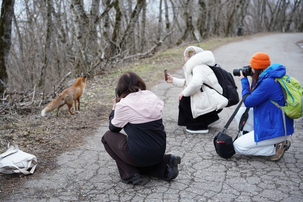 Photograph by Татьяна Любич