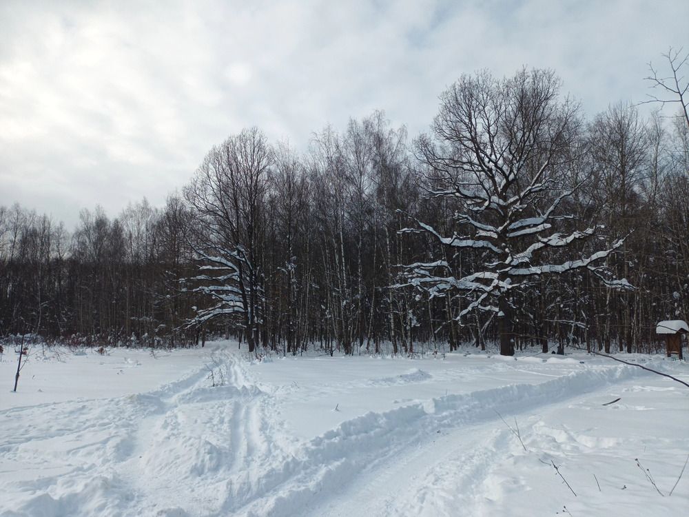 Photograph by Дмитрий Щекин