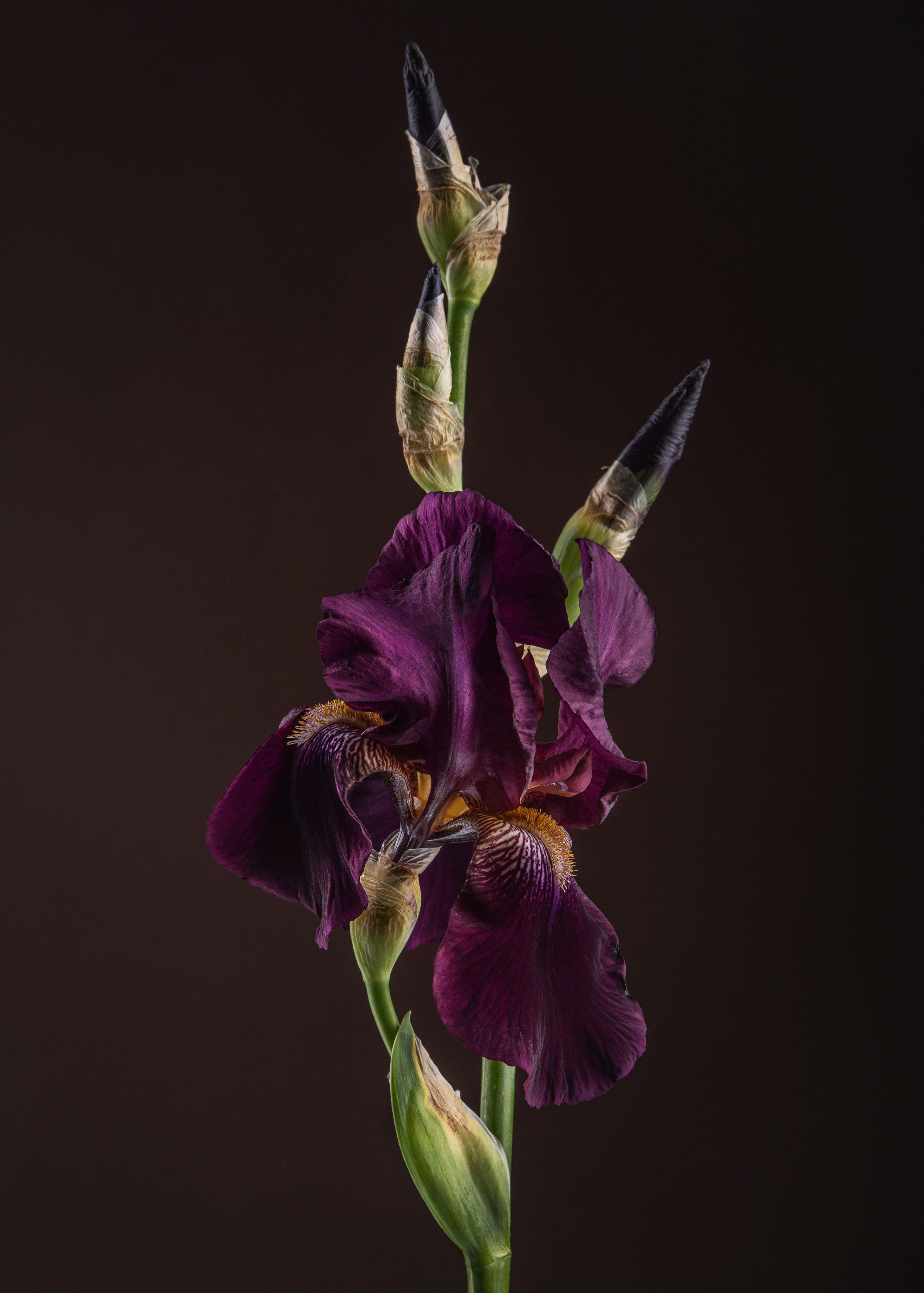 Photograph by Юлианна Митрофанова