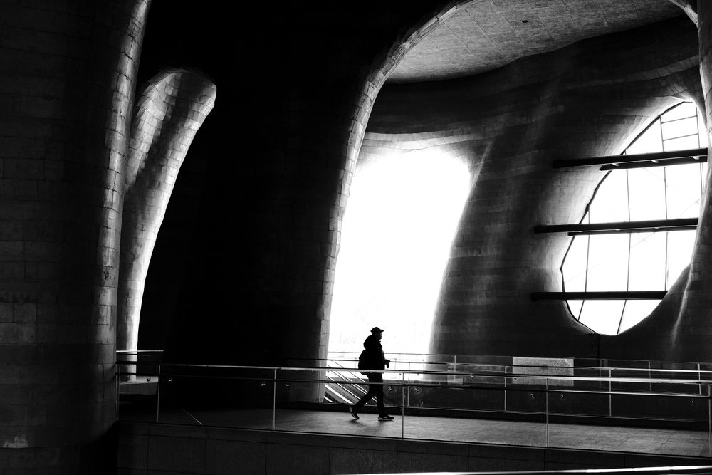 Photograph by Kevin Christonar