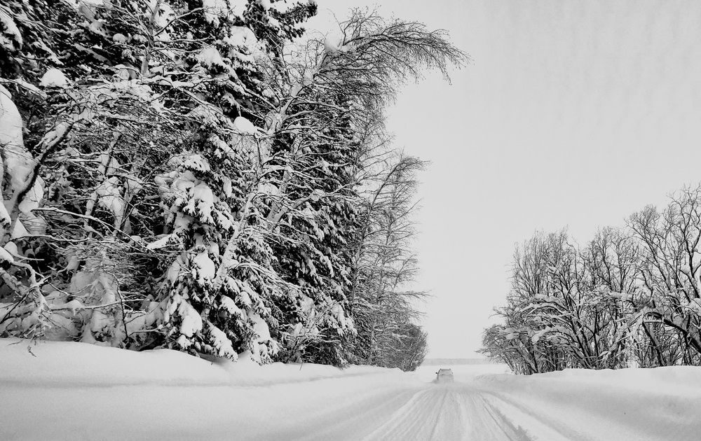 Photograph by Еловик Валерий
