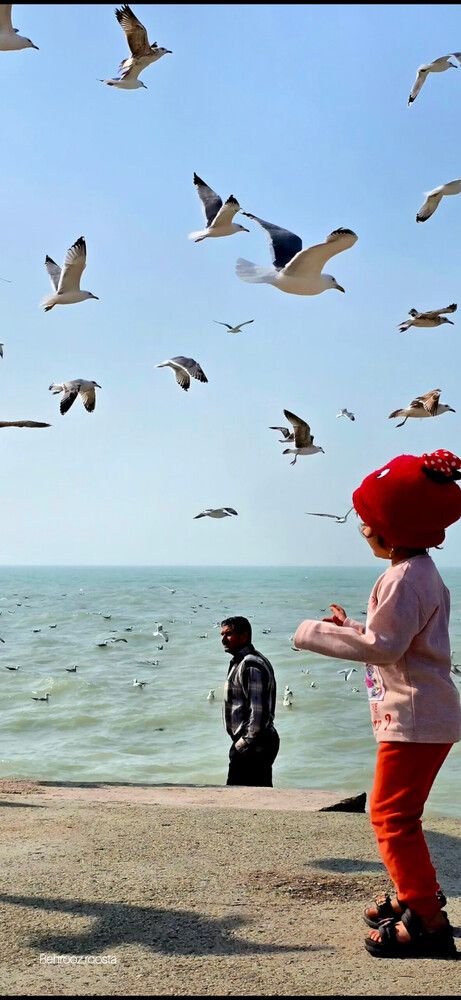 Фотография автора behrooz roosta