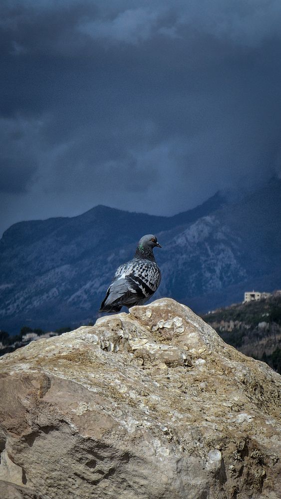 Photograph by Катя Черникова