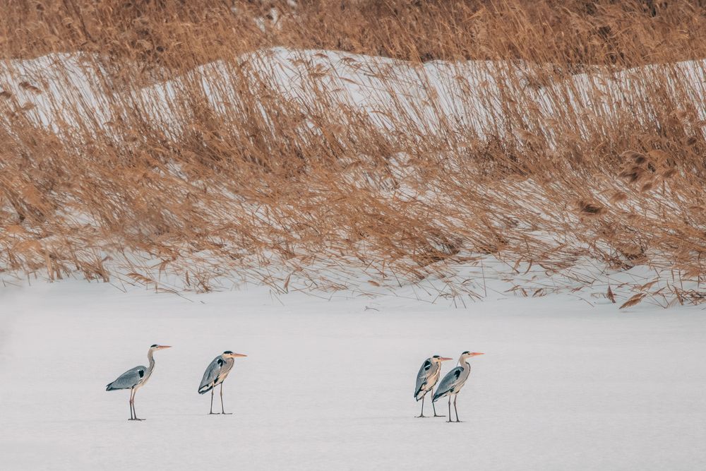 Photograph by Pavel Belov