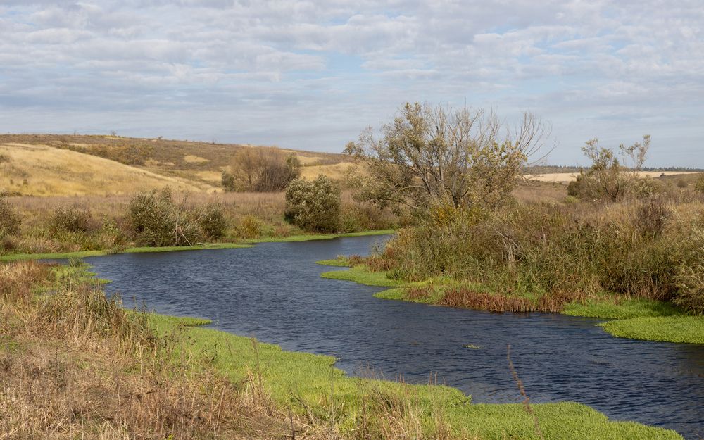 Фотография автора Николай