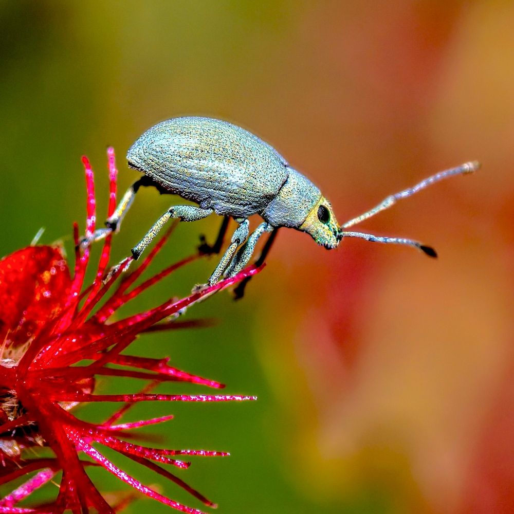 Photograph by Ashit Gandhi