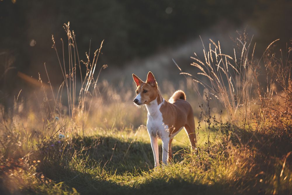 Photograph by Кудлай Яна
