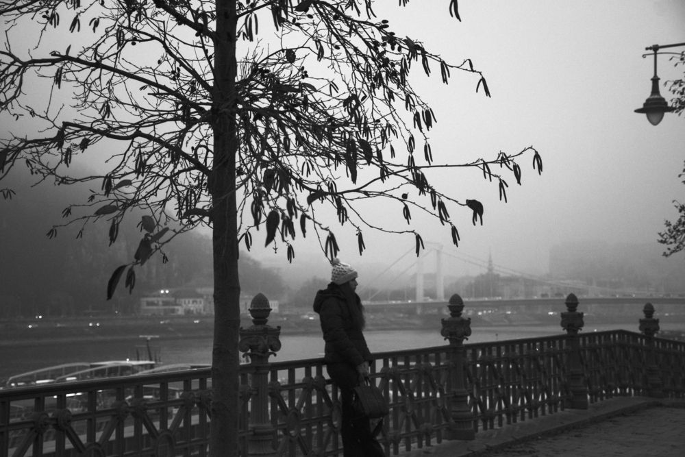 Photograph by esti sasson