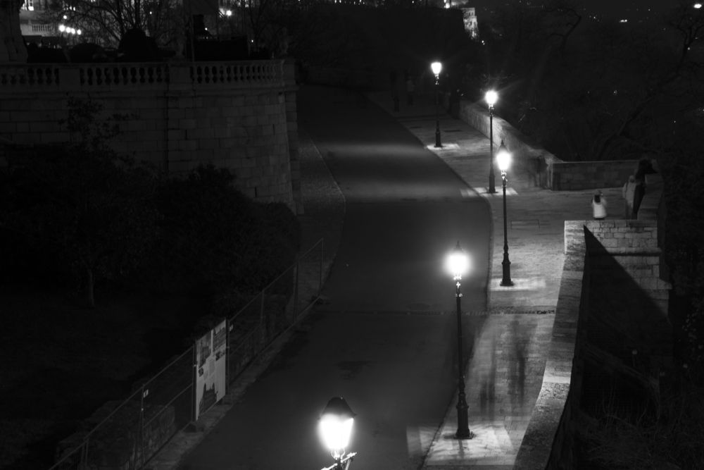 Photograph by esti sasson
