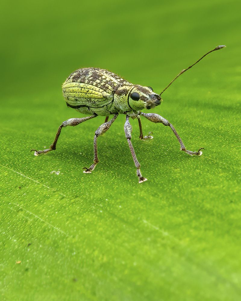 Photograph by Ashit Gandhi