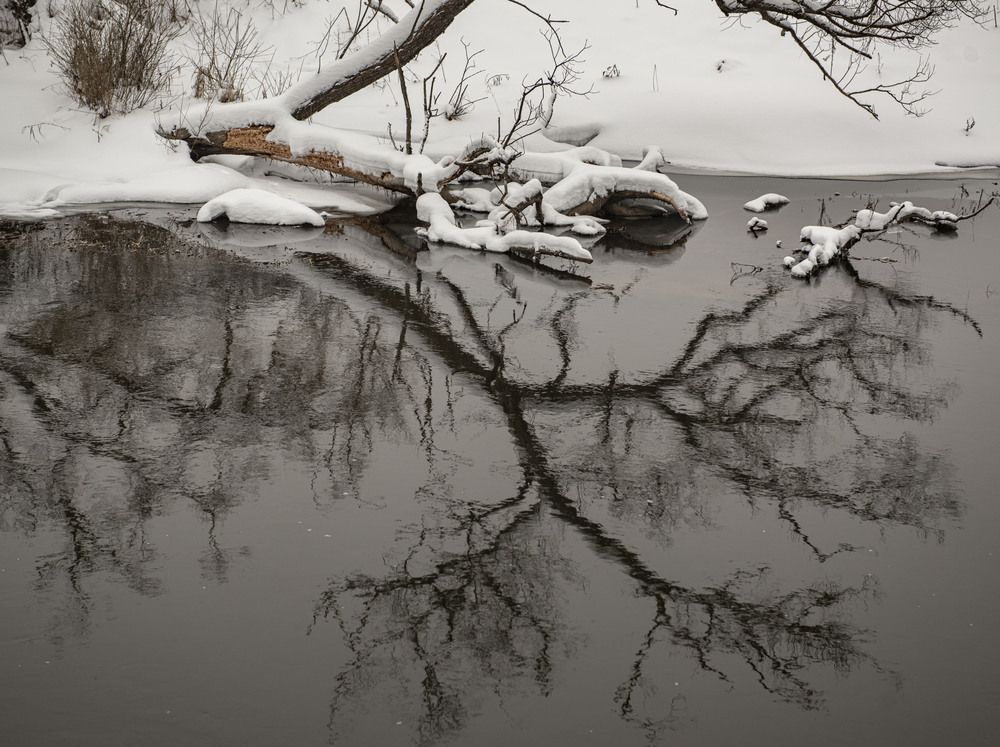 Photograph by Николай Галкин