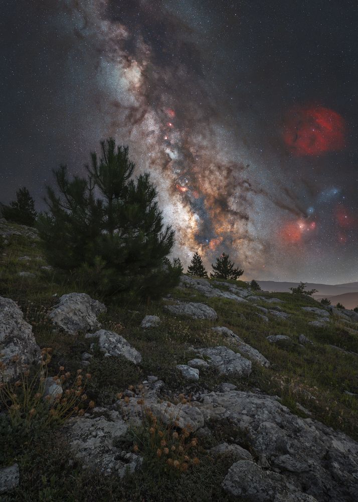 Photograph by Andrea Curzi
