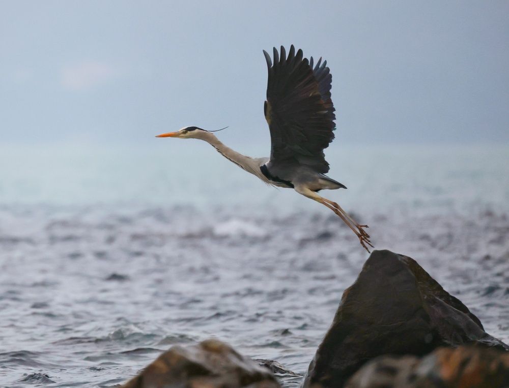 Photograph by Sergey Chernyak