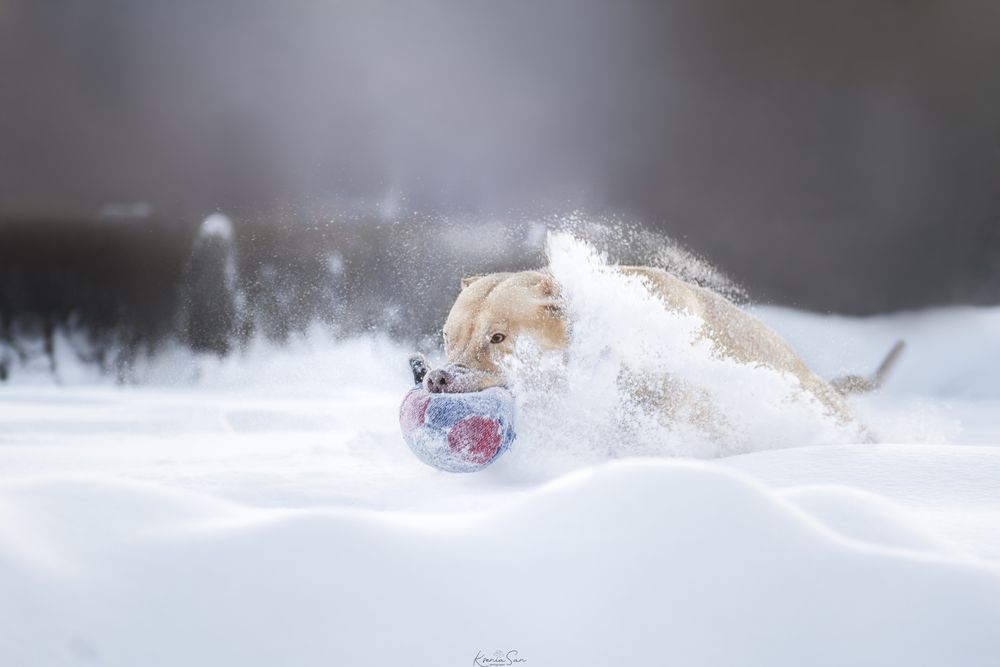Photograph by Шитикова Ксения