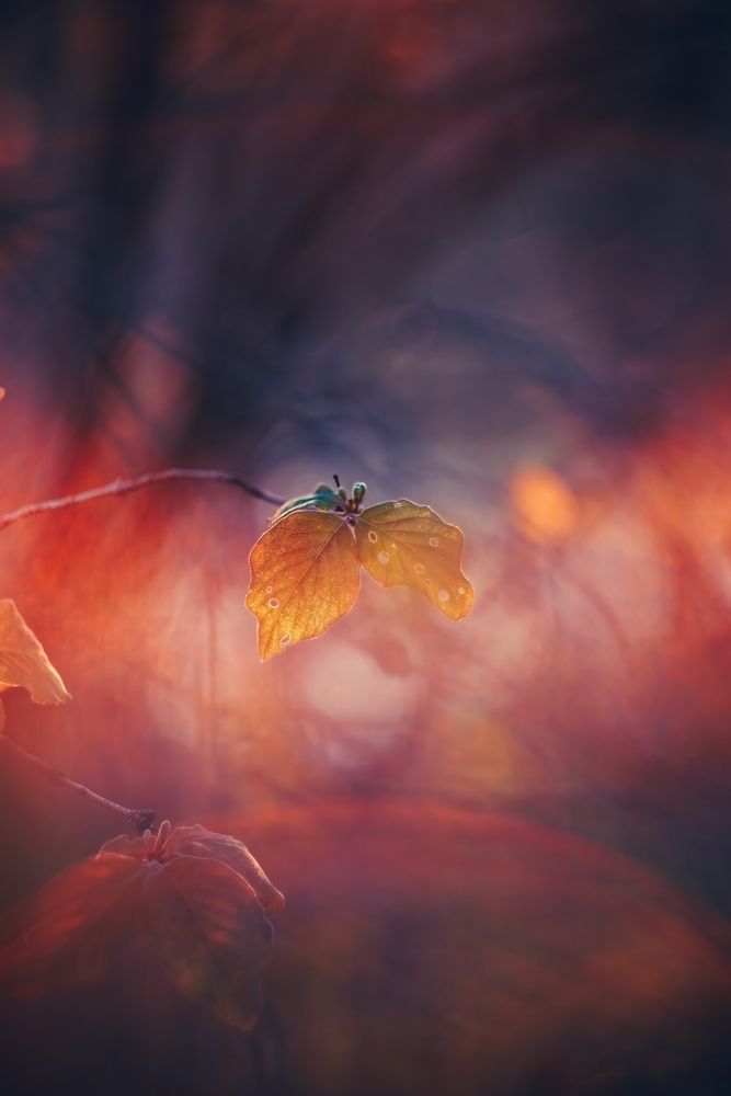 Photograph by Вячеслав Коканов