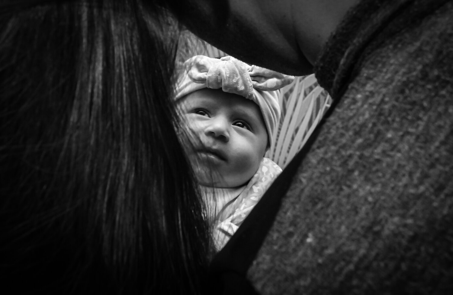 Photo #13336796