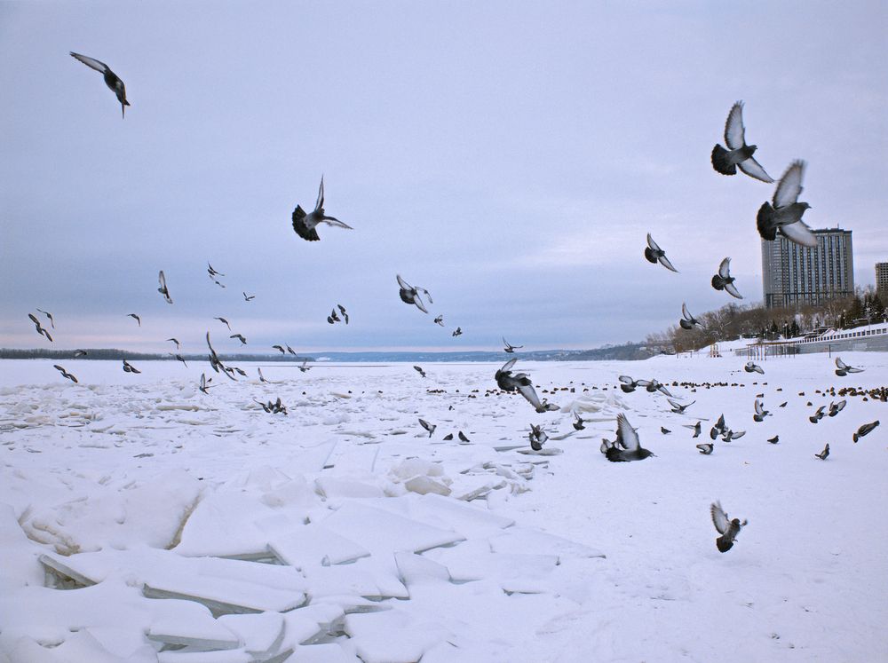 Photograph by Андрей Ларионов