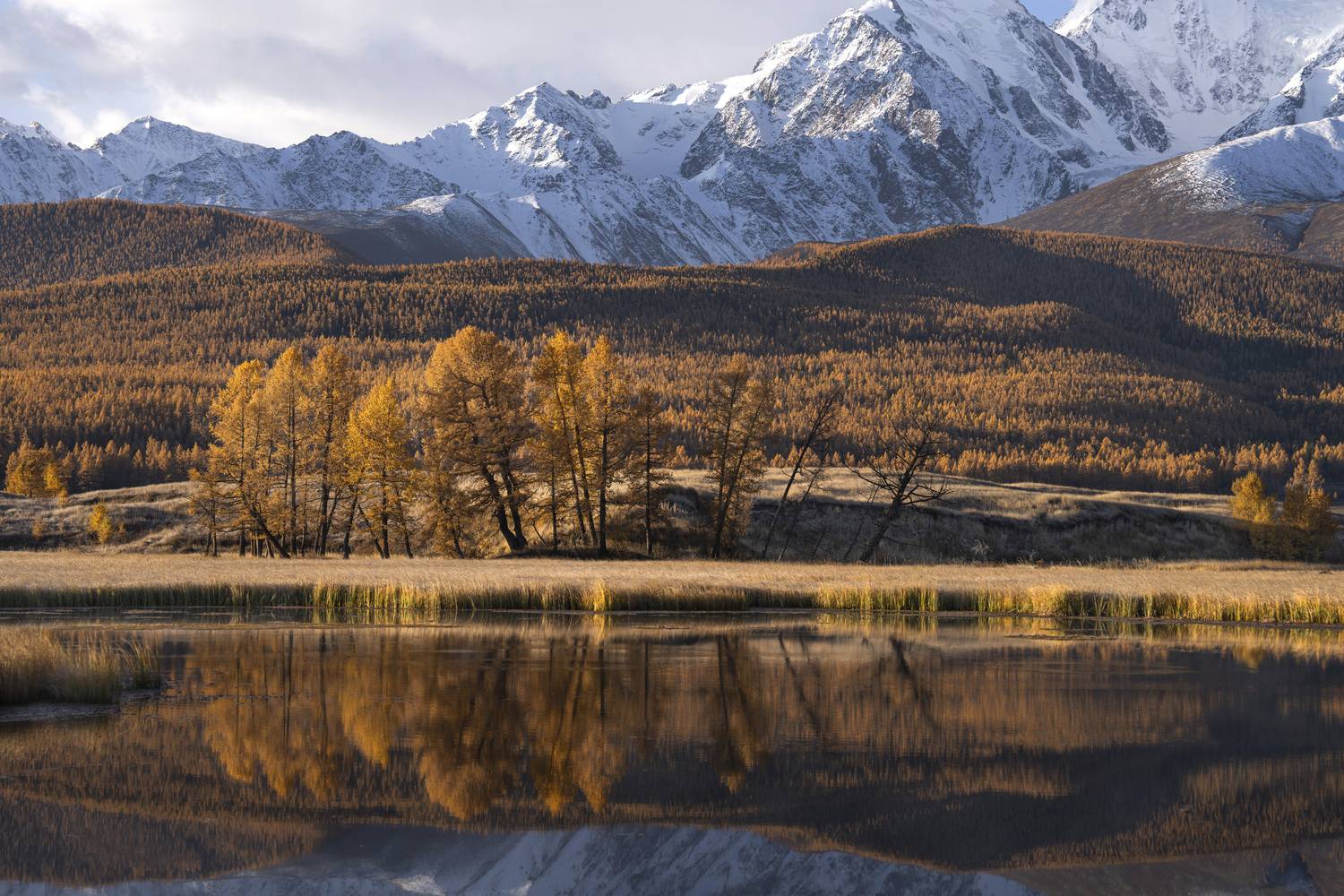 Фотография #13336880