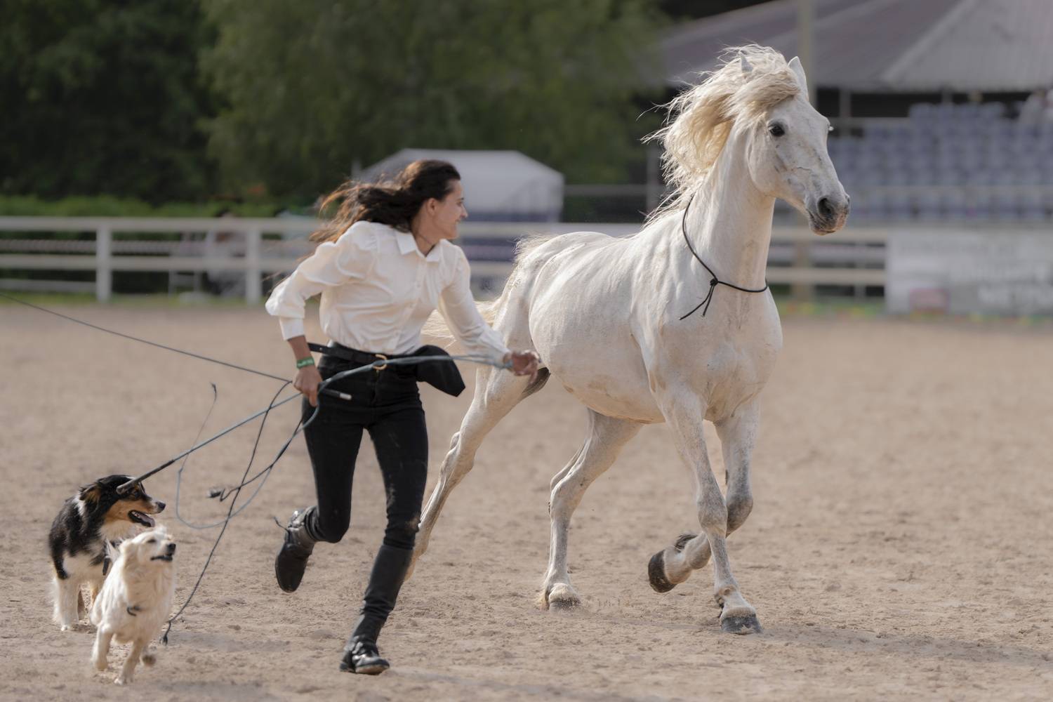 Фотография #13336901