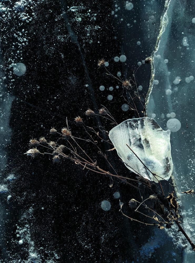 Photograph by Евгений Колтунов
