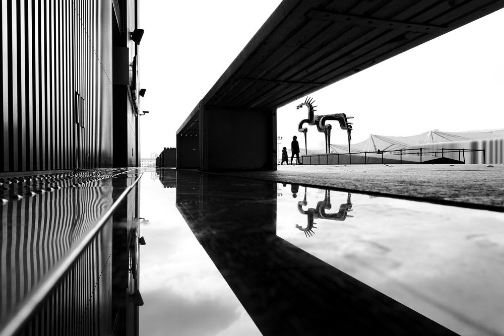 Photograph by Kevin Christonar