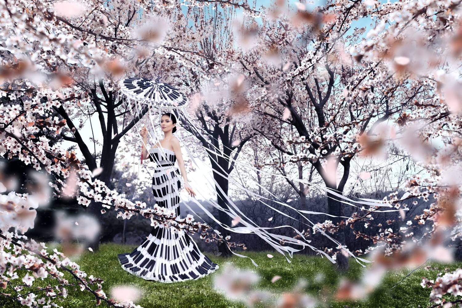 Photo #13337020