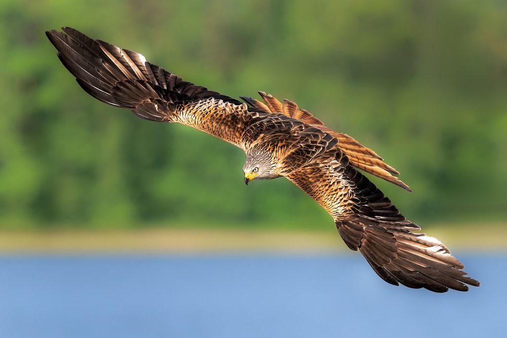 Photograph by Ruzhdi Ibrahimi