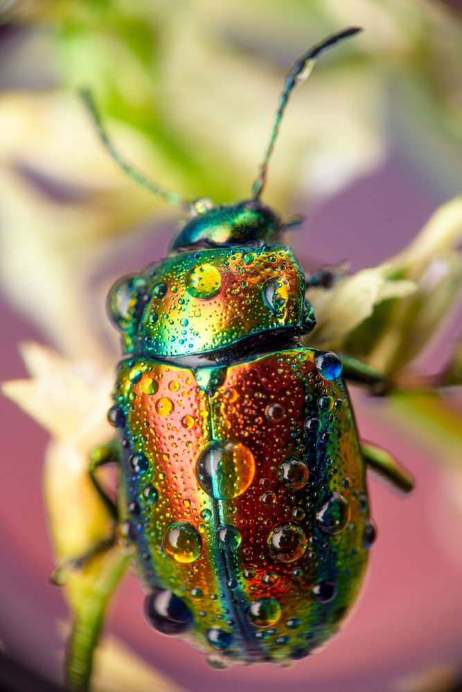 Photograph by Дмитрий Огольцов