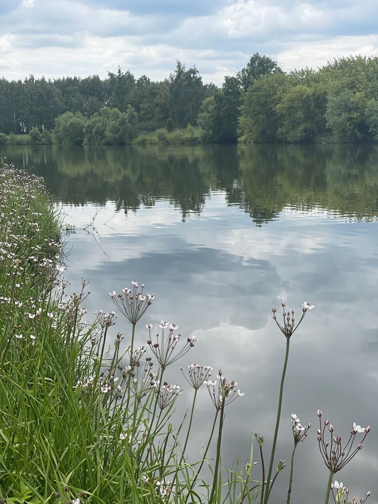 Фотография автора Ирина Барышева