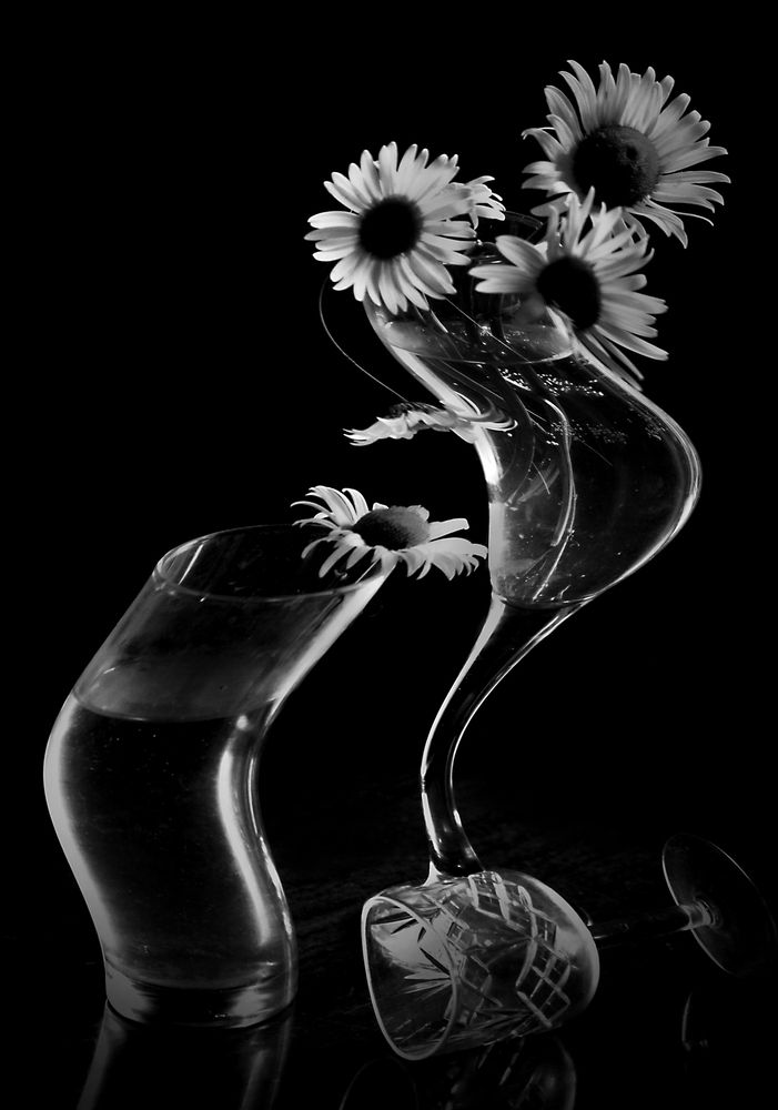 Photograph by Зоя Быкова