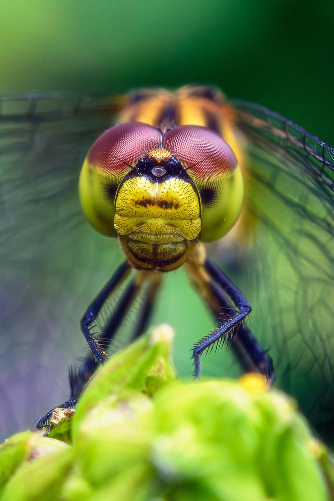 Photograph by Дмитрий Огольцов