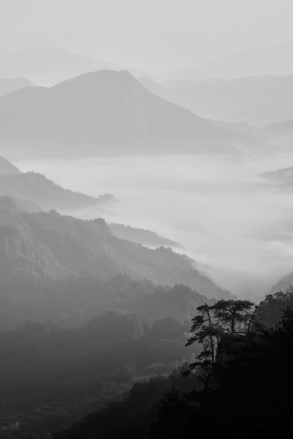 В горах Чжанцзяцзе