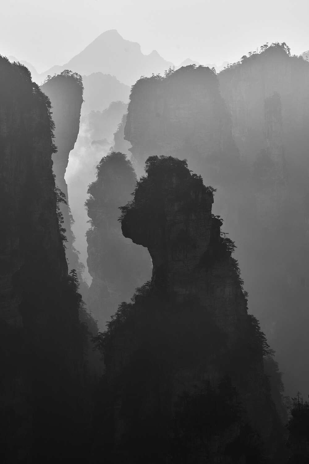 … силуэты в горах Чжанцзяцзе … силуэты в горах Чжанцзяцзе