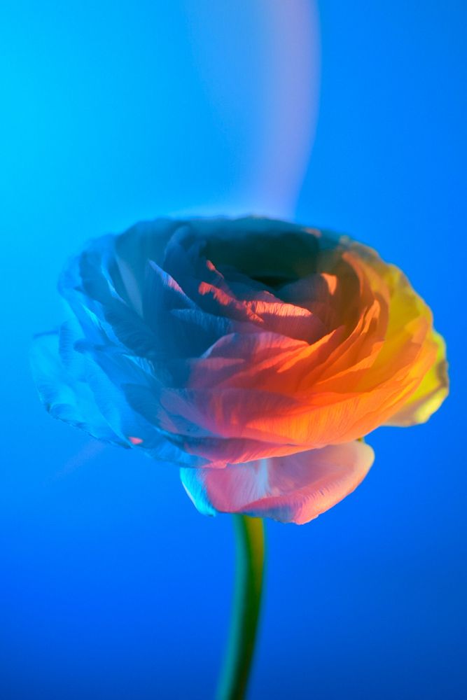 Photograph by Екатерина
